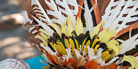 羽毛工艺美术品 价格区间、专卖店分布与购买指南